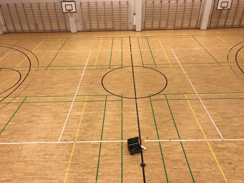 Synapsia-sali, ennen 1