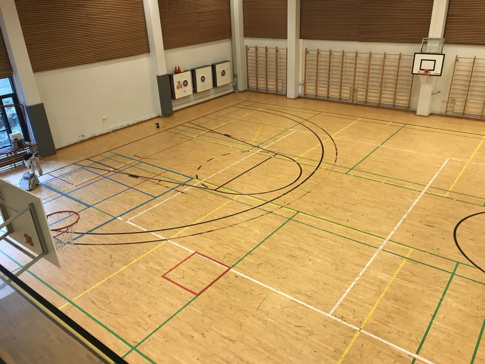 Synapsia-sali, ennen 2