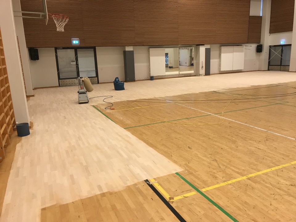 Synapsia-sali, ennen 4