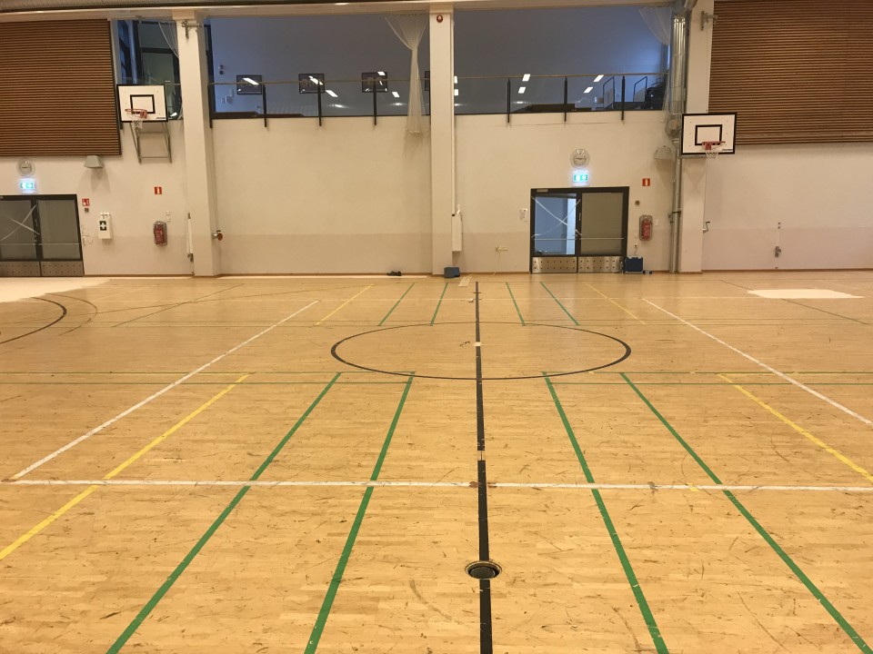 Synapsia-sali, ennen 5