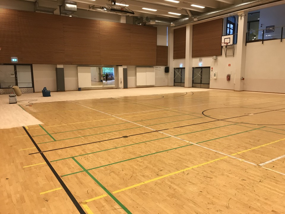 Synapsia-sali, ennen 6