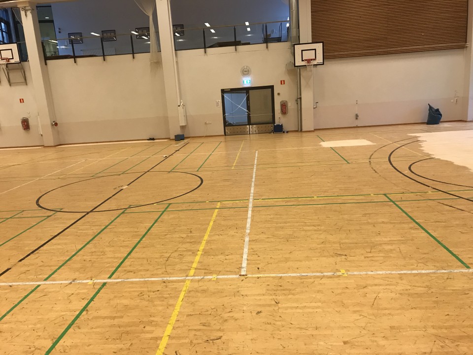 Synapsia-sali, ennen 7